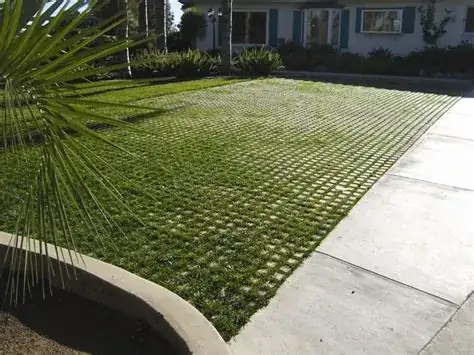 grass growing through pavers