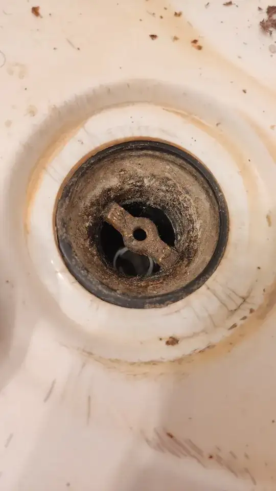 shower drain where gasket, bridge and its fused pipe(tho barely) are visible