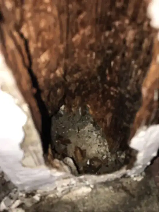 rot dim 3 can see concrete