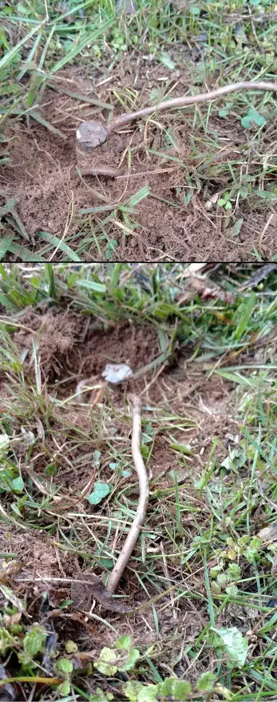 Stake with metal cord