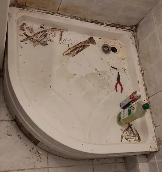 overall top view of shower tray