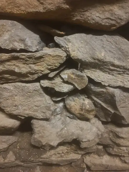 looks like no mortar ever used? just dirt coming through