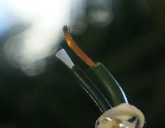 light strand with copper and white