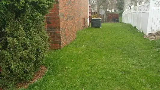 Right Side From Front