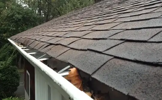 Singles overhanging gutter