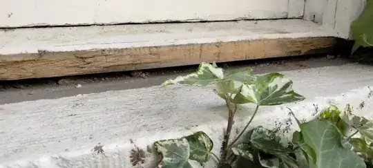 right side of window, rotted sill portion removed