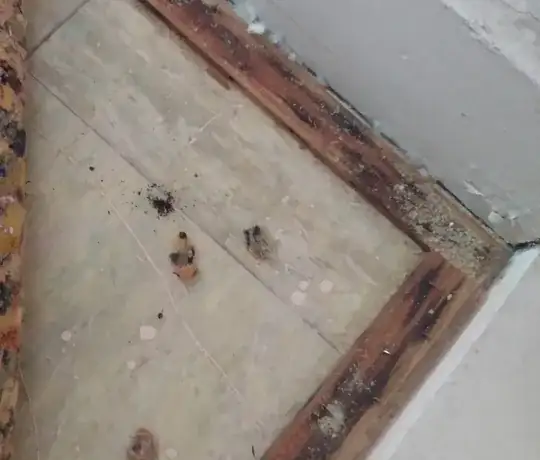 picture showing the tile under carpet padding.