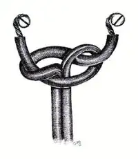 Underwriter's Knot