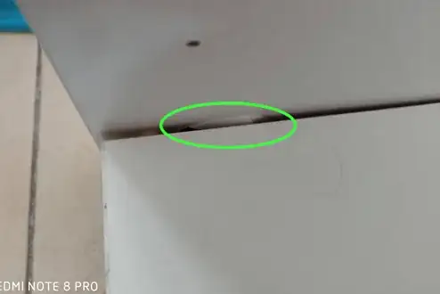 snip of original picture highlighting area of damage