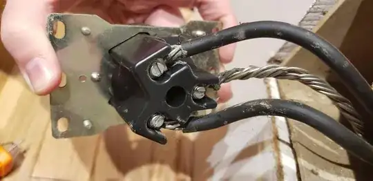 close up of the back