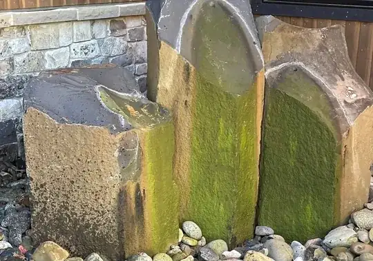 Photo of water fountain with green stuff on it