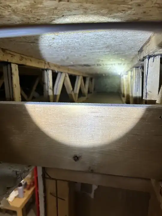 looking over the lumber going through trusses