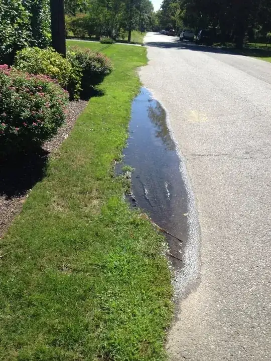 The puddle