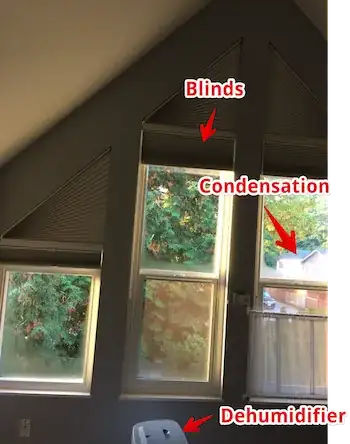 Bedroom windows
