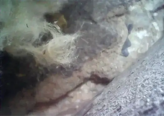 Inside the front wall of house.  Shows cracking which allowed dirt to enter wall