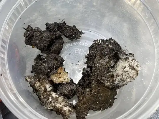 Chunks of the clogging substance