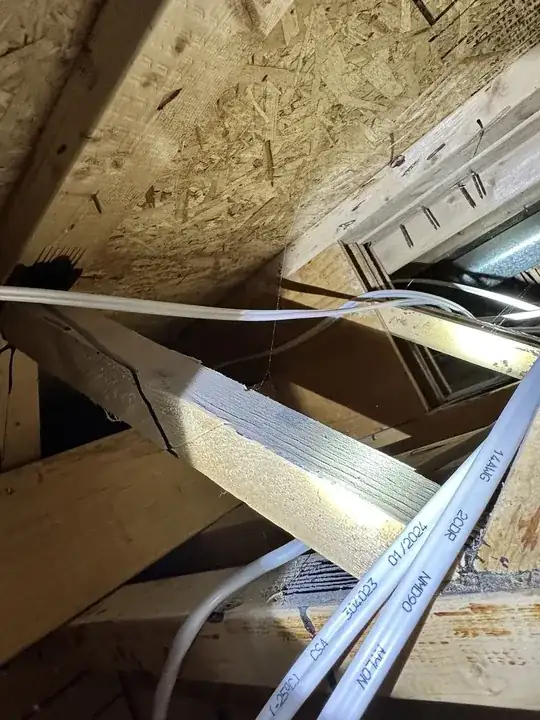 looking at the other end of this lumber…