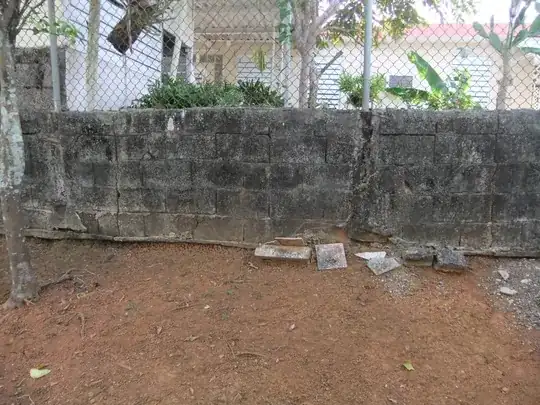 Backyard Wall