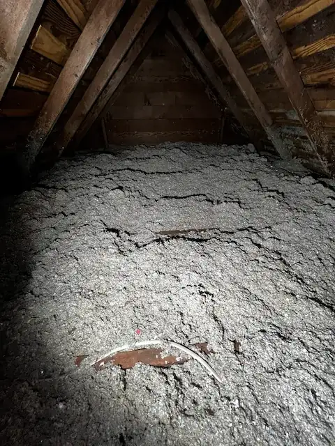 Attic above Ceiling View