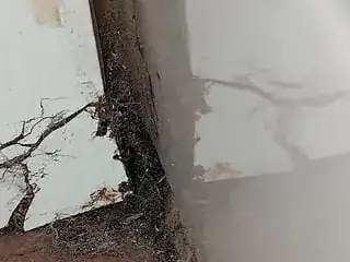 Fibers cracked from wall paneling