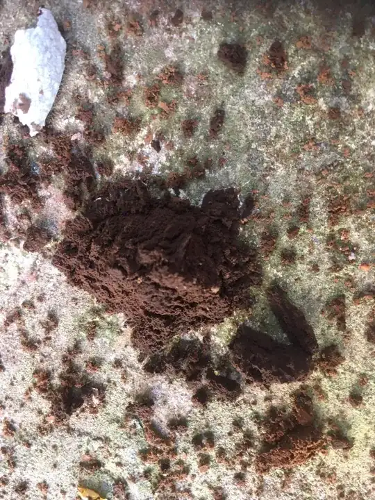 Contents of one of the fungus