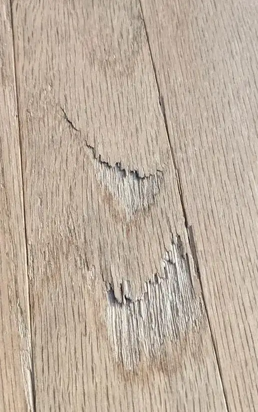 chip in wood floor, photo 1