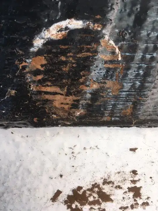 Site of removed fungus, with paintwork damaged