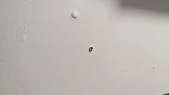 Several bubbles, one of which recently popped by itself