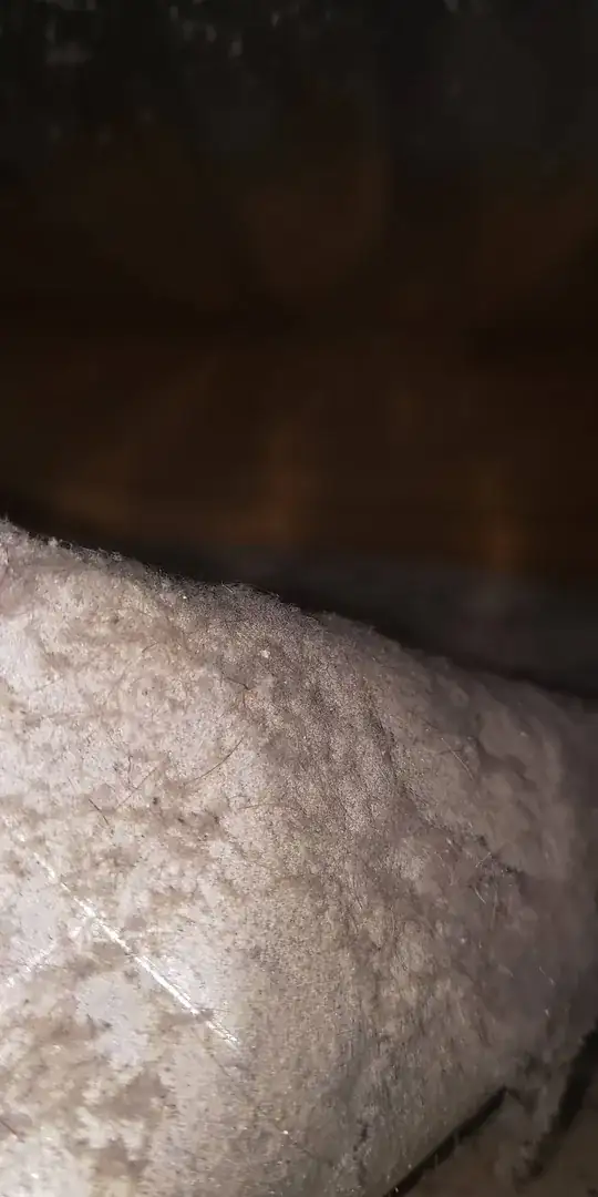 insulation in flat roof