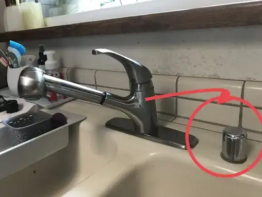 Dishwasher drain cleanout