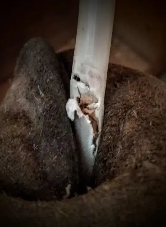 Torn electrical wire