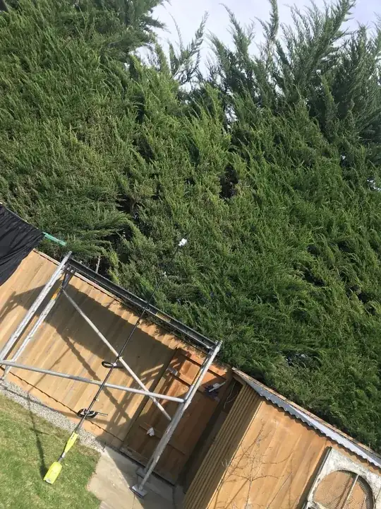 Fully assembled pole-saw