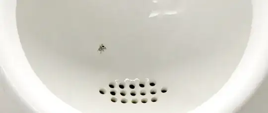 Image of fly painted on men's urinal