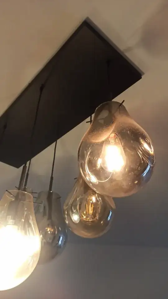 The image containing the bulbs