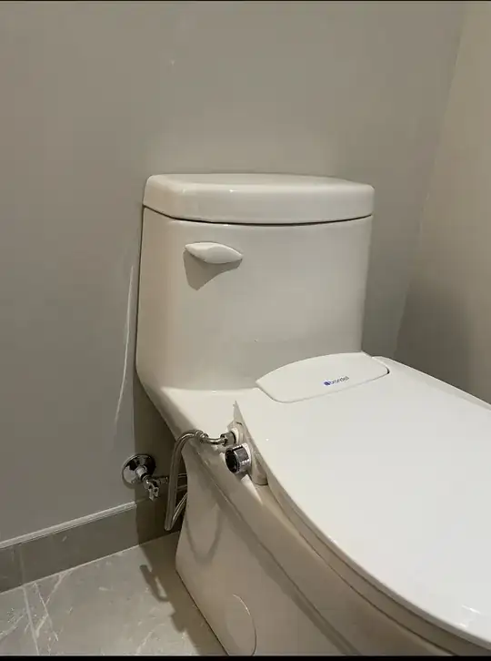 toilet at a glance
