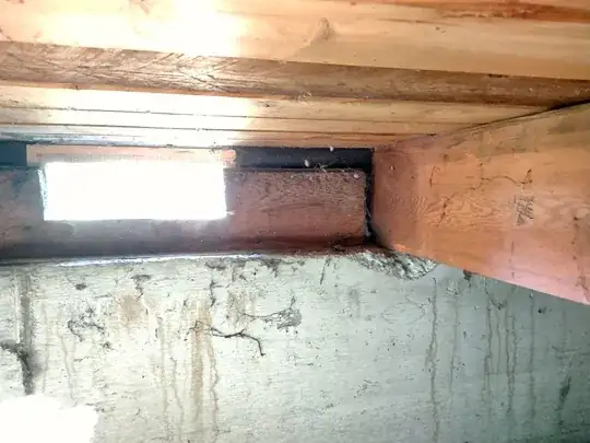 A photograph example of profile A