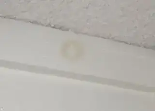 Click for full size enter image description here