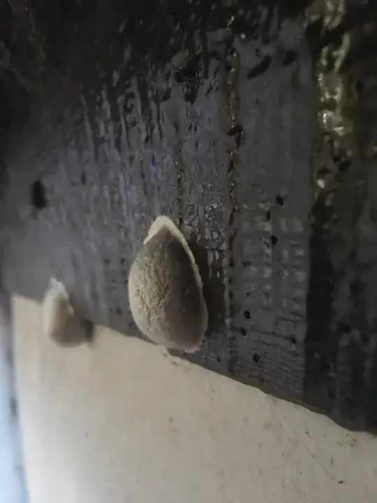 Side view - to show how they are attached