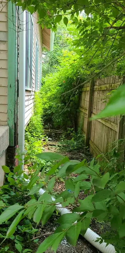 This is the four foot wide strip of jungle I mentioned. How to make the water not just go to neighbor's yard?