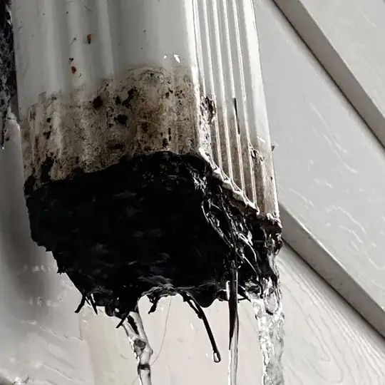 disgusting brown plug of goo emerging from a gutter downspout