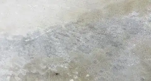 Close up of Cleaned Cement. No evidence of a crack