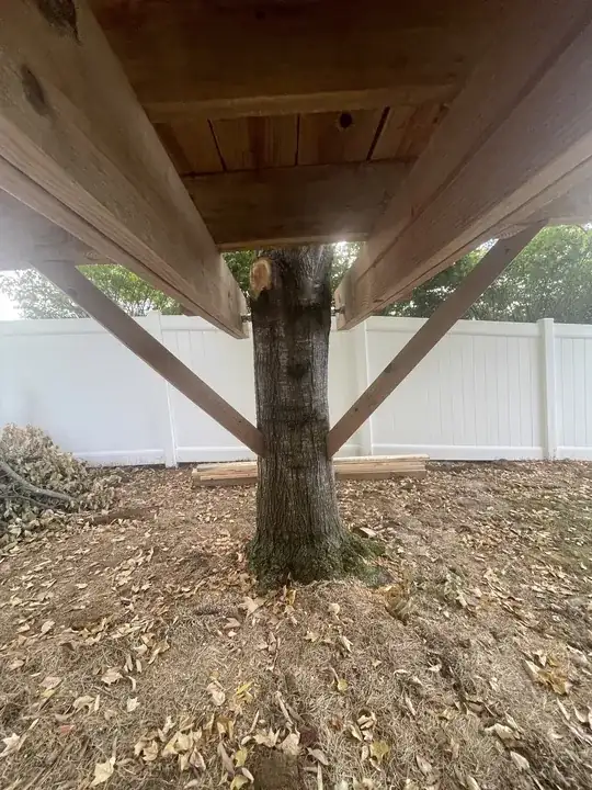 pic 2