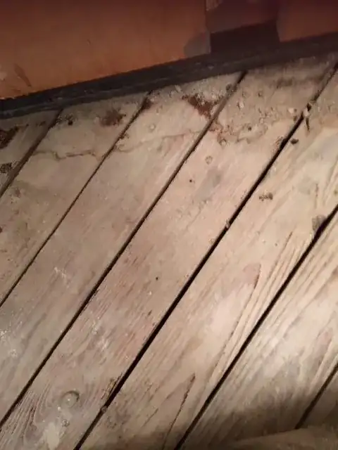 wood subfloor in bathroom