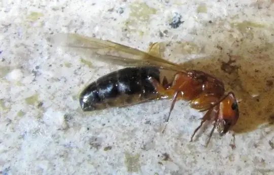 Here's a cropped close-up