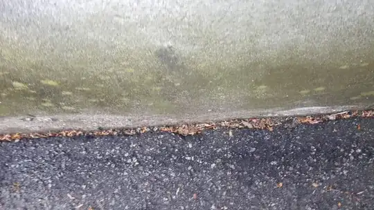 a wall with what appears to be mottled grey and green discoloration, and pock-marks, near its bottom