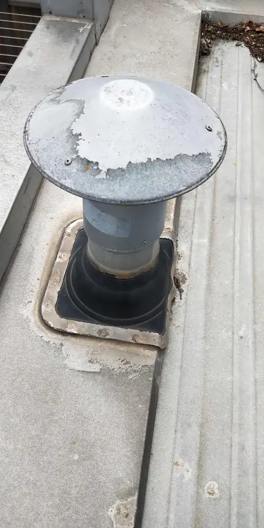 Dryer roof vent cap