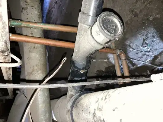 Leaking sewer line