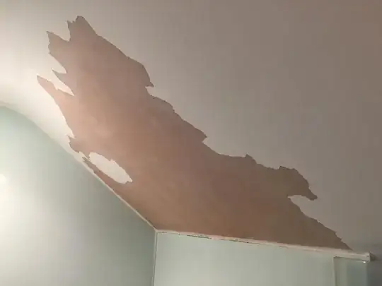 Ceiling above shower cubicle