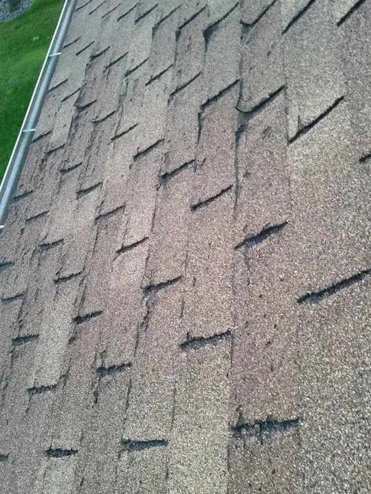 First view of part of troubled roof shingles with gutter