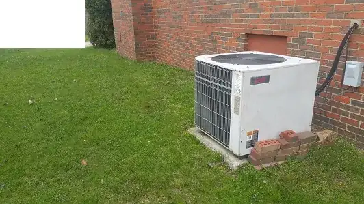 Right Side From Back